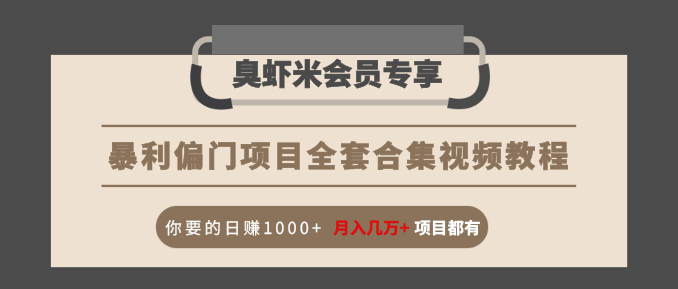 暴利偏门项目全套合集视频教程：你要的日赚1000+月入几万+项目都有-锦年学吧