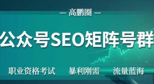 高鹏圈公众号SEO矩阵号群，实操20天纯收益25000+，普通人都能做-锦年学吧