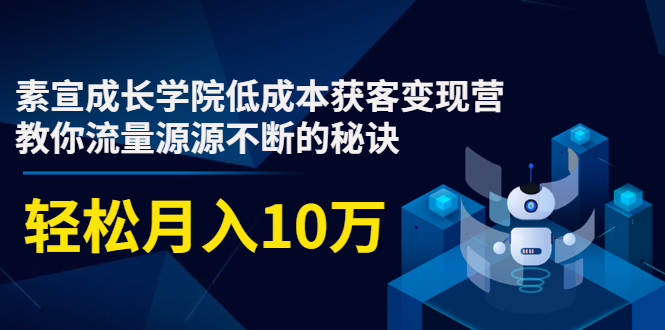 素宣成长学院低成本获客变现营，教你流量源源不断的秘诀，轻松月入10万-锦年学吧