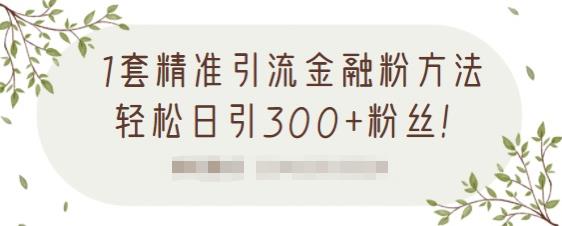 1套精准引流金融粉方法，轻松日引300+粉丝-锦年学吧