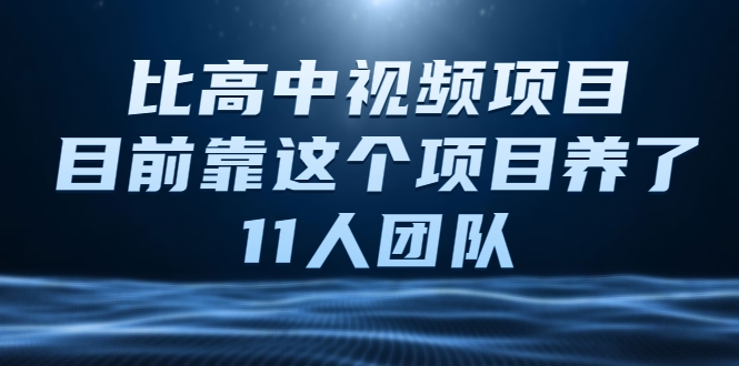 比高中视频项目，目前靠这个项目养了11人团队【视频课程】-锦年学吧