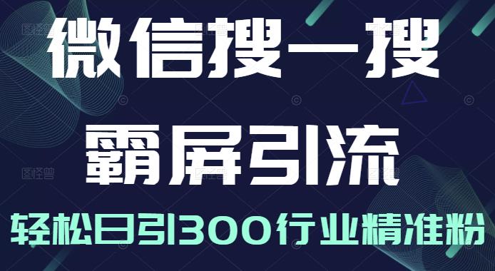 微信搜一搜霸屏引流课，打造被动精准引流系统，轻松日引300行业精准粉-锦年学吧