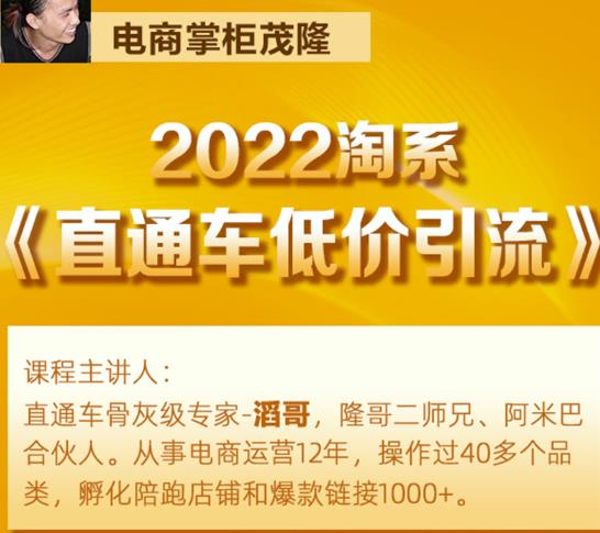 茂隆2022直通车低价引流玩法，教大家如何低投入高回报的直通车玩法-锦年学吧