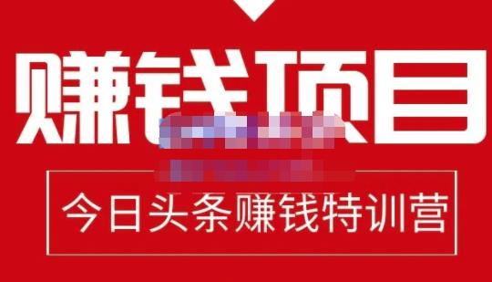 懒人领域·今日头条项目玩法，头条中视频项目，单号收益在50—500可批量-锦年学吧