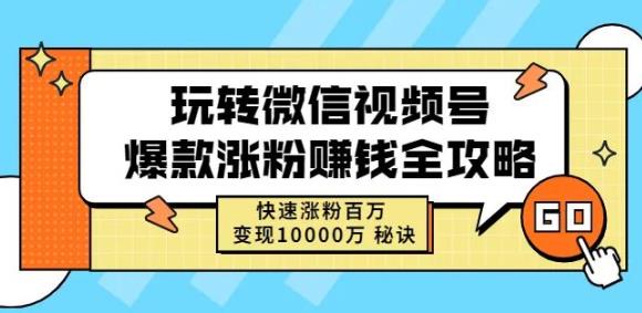 玩转微信视频号爆款涨粉赚钱全攻略，快速涨粉百万变现万元秘诀-锦年学吧