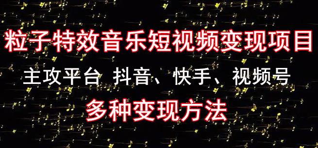 黄岛主《粒子特效音乐短视频变现项目》主攻平台抖音、快手、视频号多种变现方法-锦年学吧