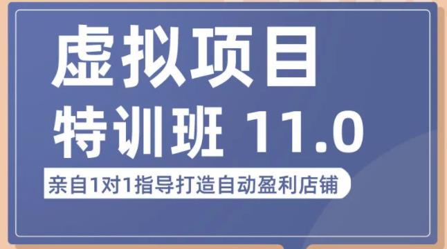 陆明明·虚拟项目特训班（10.0+11.0），0成本获取虚拟素材，0基础打造自动盈利店铺-锦年学吧