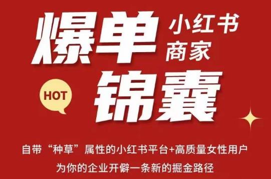 无畏·小红书商家爆单锦囊，掌握小红书各大规则，快速精准抢占行业和市场-锦年学吧