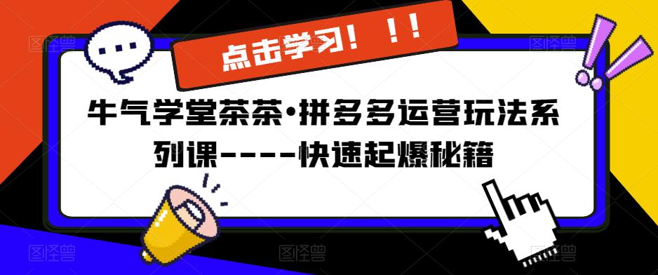 牛气学堂茶茶•拼多多运营玩法系列课—-快速起爆秘籍【更新】-锦年学吧