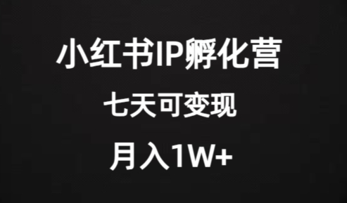 价值2000+的小红书IP孵化营项目，超级大蓝海，七天即可开始变现，稳定月入1W+-锦年学吧