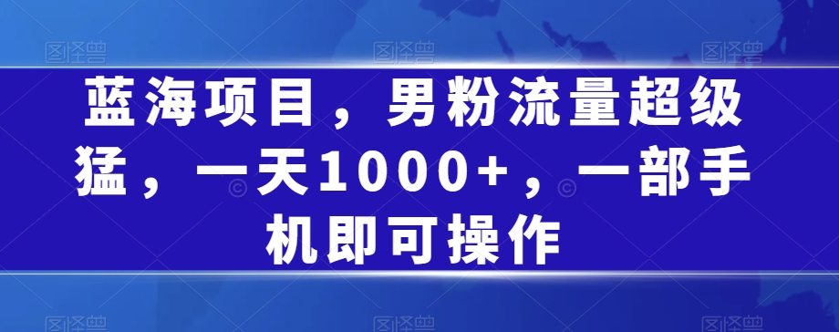 蓝海项目，男粉流量超级猛，一天1000+，一部手机即可操作【揭秘】-锦年学吧