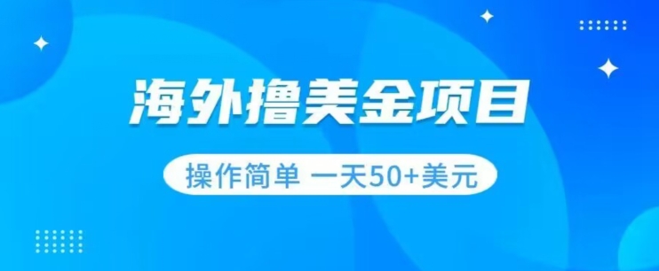 撸美金项目无门槛操作简单小白一天50+美刀-锦年学吧