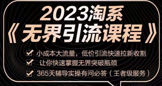 2023淘系无界引流实操课程，​小成本大流量，低价引流快速拉新收割，让你快速掌握无界突破瓶颈-锦年学吧