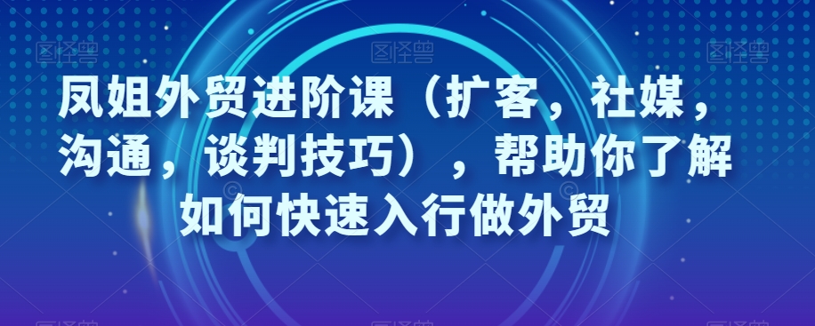 凤姐外贸进阶课（扩客，社媒，沟通，谈判技巧），帮助你了解如何快速入行做外贸-锦年学吧