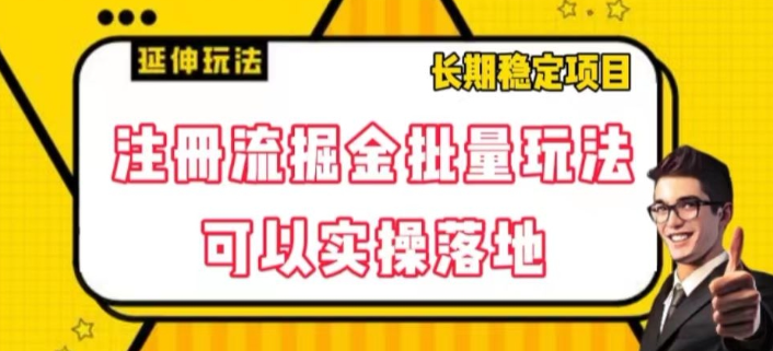 注册流掘金批量玩法，可以实操落地【揭秘】-锦年学吧