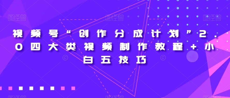 视频号“创作分成计划”2.0四大类视频制作教程+小白五技巧【揭秘】-锦年学吧