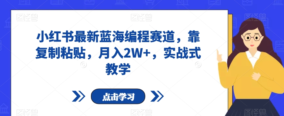 小红书最新蓝海编程赛道，靠复制粘贴，月入2W+，实战式教学【揭秘】-锦年学吧