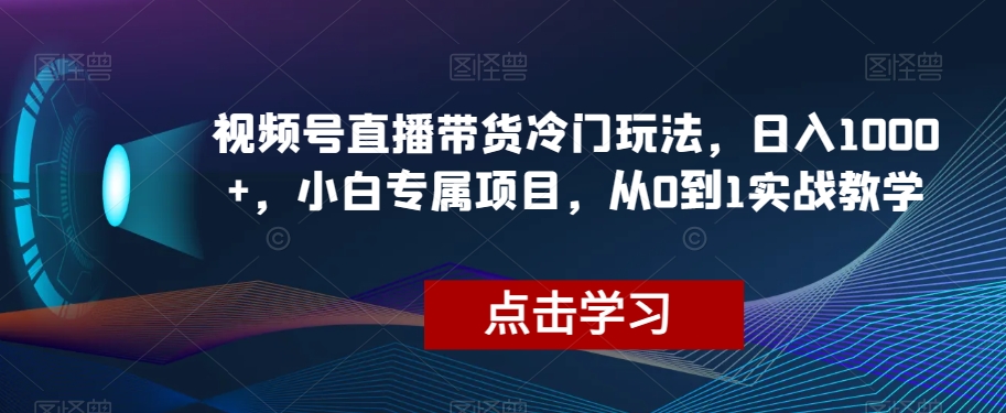 视频号直播带货冷门玩法，日入1000+，小白专属项目，从0到1实战教学【揭秘】-锦年学吧