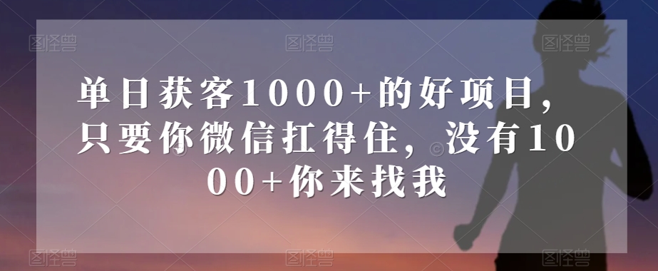 单日获客1000+的好项目，只要你微信扛得住，没有1000+你来找我【揭秘】-锦年学吧