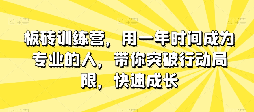 板砖训练营，用一年时间成为专业的人，带你突破行动局限，快速成长-锦年学吧