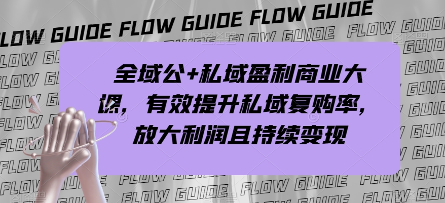 全域公+私域盈利商业大课，有效提升私域复购率，放大利润且持续变现-锦年学吧