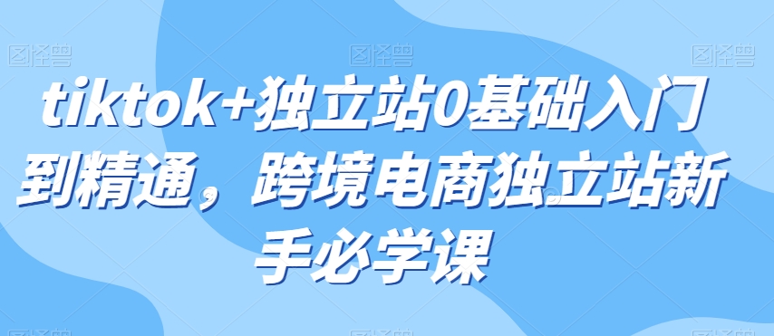 tiktok+独立站0基础入门到精通，跨境电商独立站新手必学课-锦年学吧