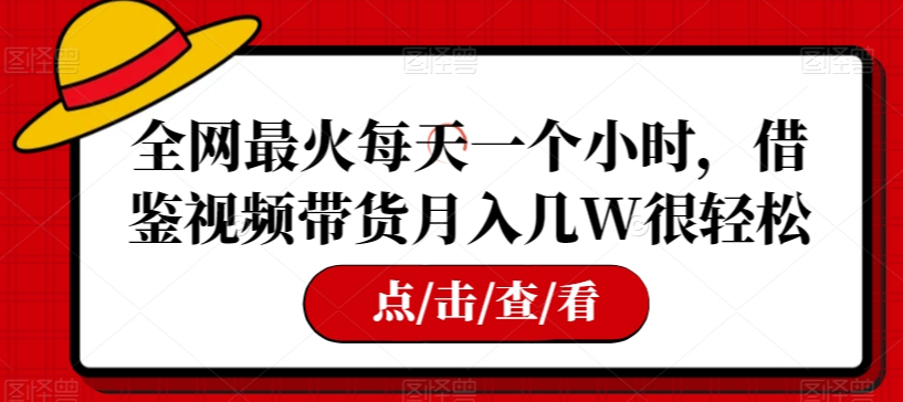 全网最火每天一个小时，借鉴视频带货月入几W很轻松【揭秘】-锦年学吧