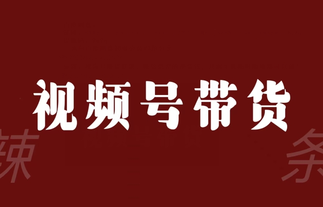 视频号带货联盟，赚信息差的带货钱，只需手机随时随地都可以做！-锦年学吧