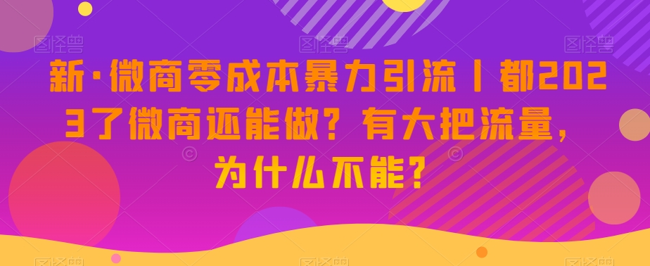 新·微商零成本暴力引流丨都2023了微商还能做？有大把流量，为什么不能？-锦年学吧