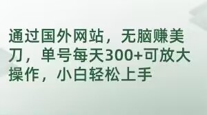 通过国外网站，无脑赚美刀，单号每天300+可放大操作，小白轻松上手【揭秘】-锦年学吧