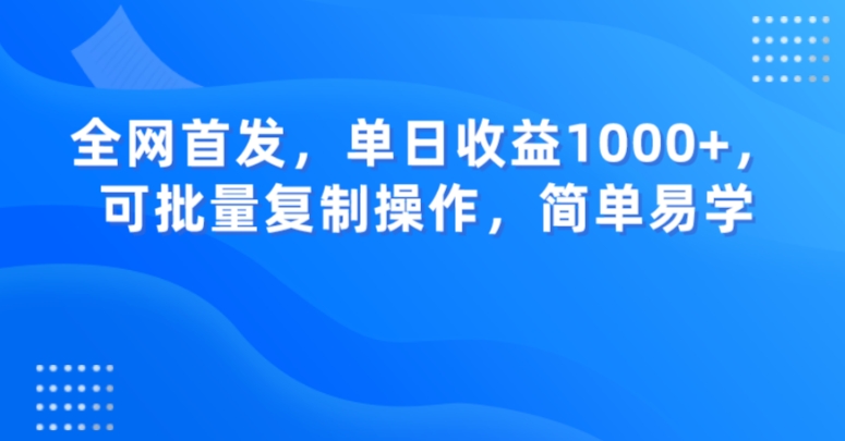 全网首发，单日收益1000+，可批量复制操作，简单易学【揭秘】-锦年学吧