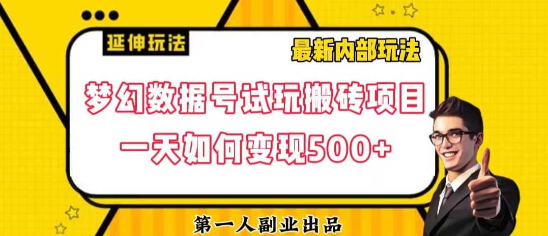 数据号回归玩法游戏试玩搬砖项目再创日入500+【揭秘】-锦年学吧