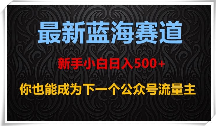 最新蓝海赛道，新手小白日入500+，你也能成为下一个公众号流量主【揭秘】-锦年学吧