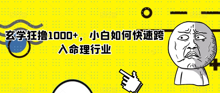 玄学狂撸1000+，小白如何快速跨入命理行业【揭秘】-锦年学吧