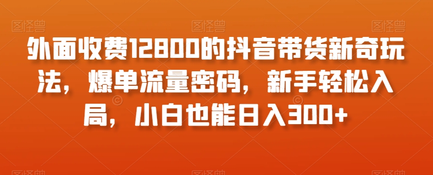 外面收费12800的抖音带货新奇玩法，爆单流量密码，新手轻松入局，小白也能日入300+【揭秘】-锦年学吧