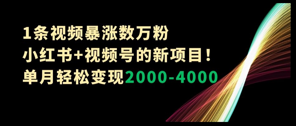 1条视频暴涨数万粉–小红书+视频号的新项目！单月轻松变现2000-4000【揭秘】-锦年学吧