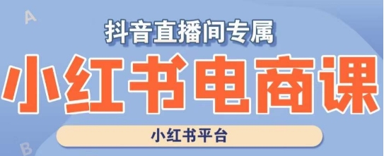 小红书电商高级运营课程，实操教学+案例分析-锦年学吧