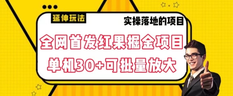 全网首发红果免费短剧掘金项目，单机30+可批量放大【揭秘】-锦年学吧