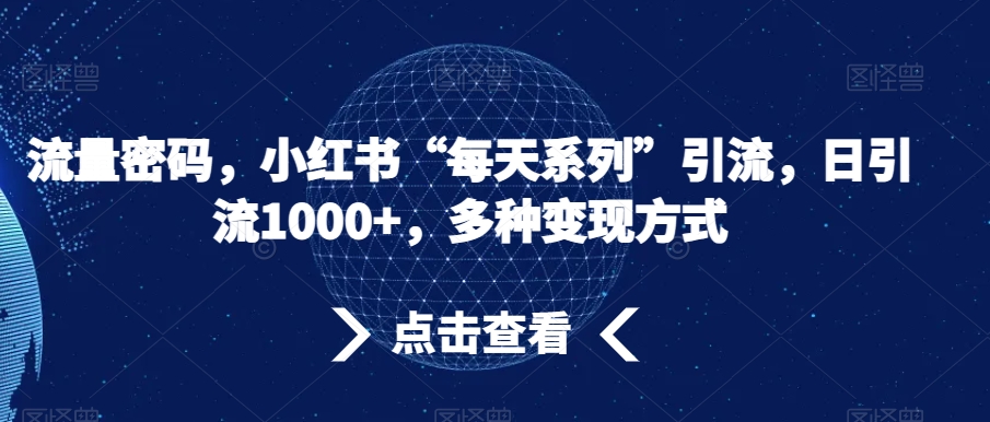 流量密码，小红书“每天系列”引流，日引流1000+，多种变现方式【揭秘】-锦年学吧