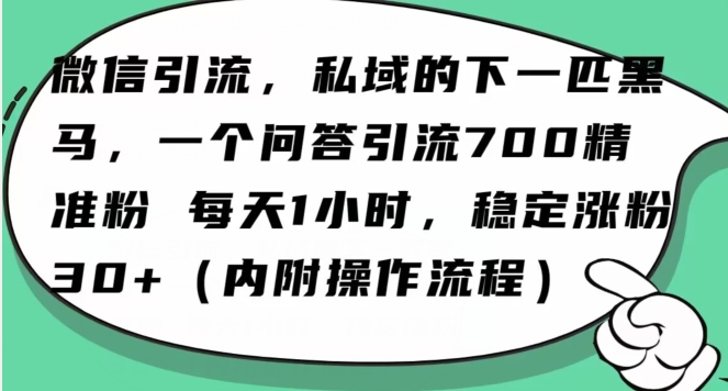 怎么搞精准创业粉？微信新赛道，每天一小时，利用Ai一个问答日引100精准粉-锦年学吧