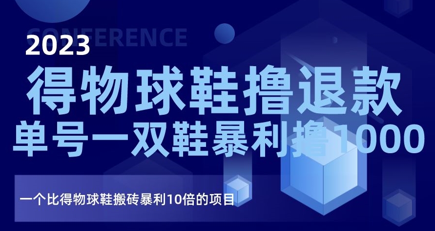 2023得物球鞋撸退款，单号一双鞋暴利撸1000，一个比得物球鞋搬砖暴利10倍的项目【揭秘】-锦年学吧