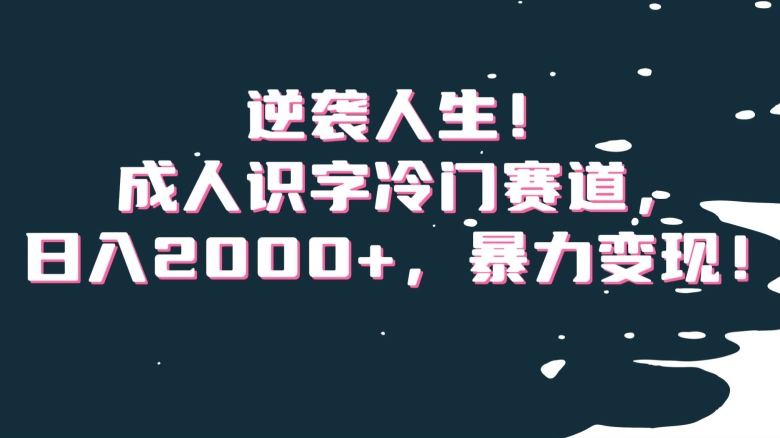 逆袭人生！成人识字冷门赛道，日入2000+，暴力变现！【揭秘】-锦年学吧