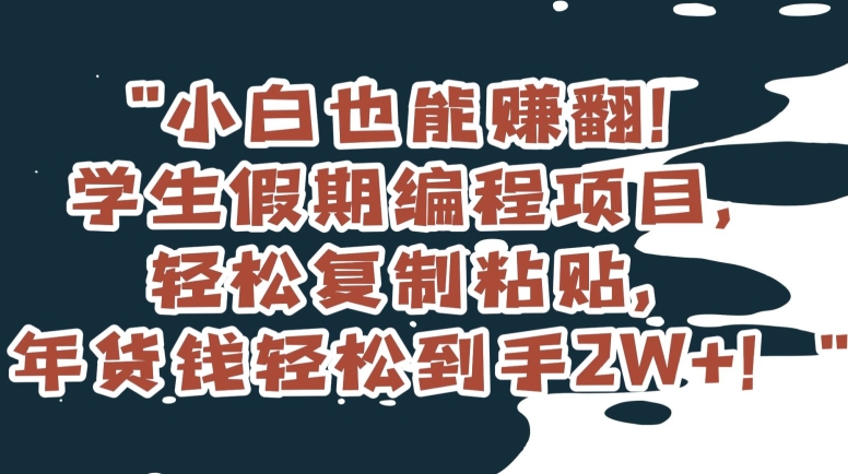 小白也能赚翻！学生假期编程项目，轻松复制粘贴，年货钱轻松到手2W+【揭秘】-锦年学吧