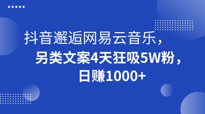 抖音邂逅网易云音乐，另类文案4天狂吸5W粉，日赚1000+【揭秘】-锦年学吧