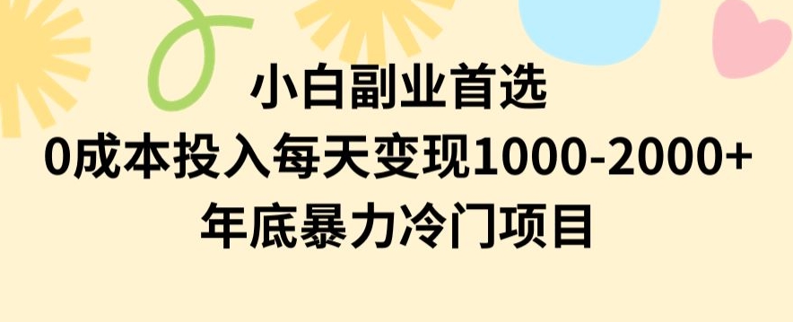 小白副业首选，0成本投入，每天变现1000-2000年底暴力冷门项目【揭秘】-锦年学吧