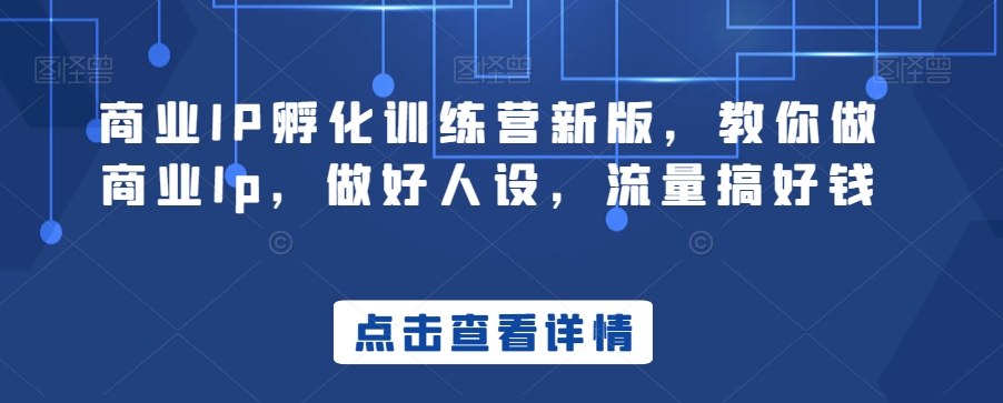 商业IP孵化训练营新版，教你做商业Ip，做好人设，流量搞好钱-锦年学吧