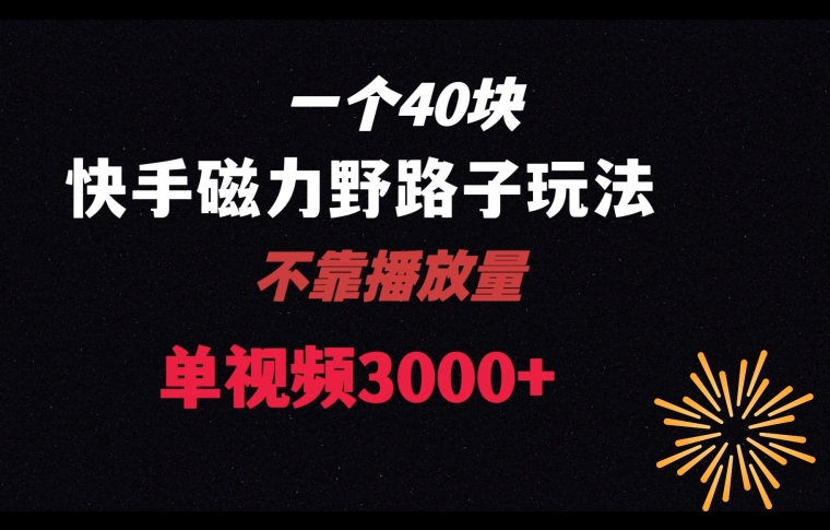 一个40块，快手联合美团磁力新玩法，无视机制野路子玩法，单视频收益4位数【揭秘】-锦年学吧