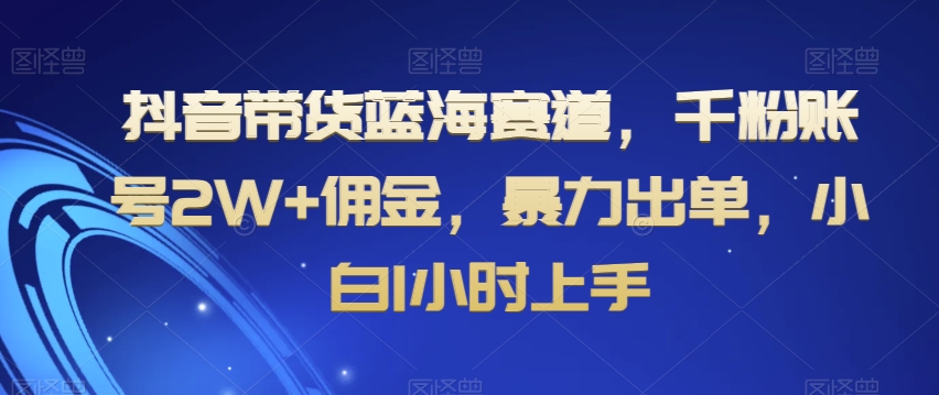 抖音带货蓝海赛道，千粉账号2W+佣金，暴力出单，小白1小时上手【揭秘】-锦年学吧