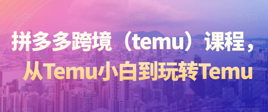 拼多多跨境（temu）课程，从Temu小白到玩转Temu-锦年学吧