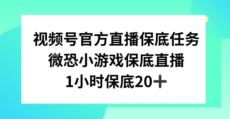 视频号直播任务，微恐小游戏，1小时20+【揭秘】-锦年学吧